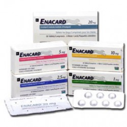 what is enalapril maleate used for in dogs