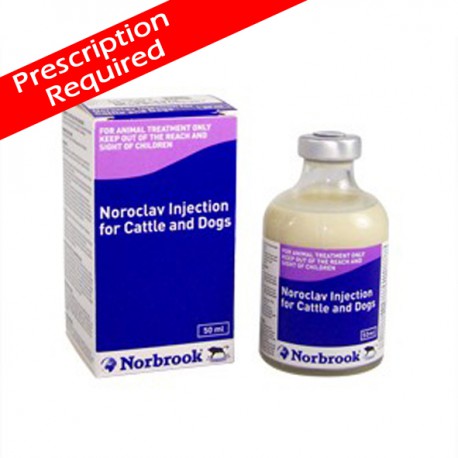 Noroclav Injection Noroclav Injection