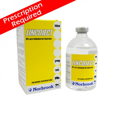 Lincoject Lincoject