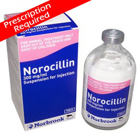 Norocillin 100ml Norocillin 100ml
