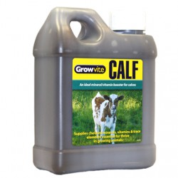 Growvite Calf