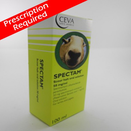 Spectam Scour Halt - AntibioticLarge Animals-VetMedicinesDirect